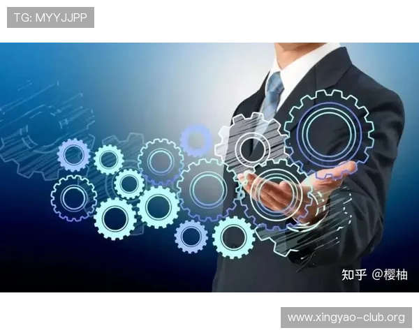 通过星辉平台实现个人品牌的快速成长与推广